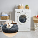 A Quiet Doughnut-Shaped Bed