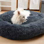 A Quiet Doughnut-Shaped Bed